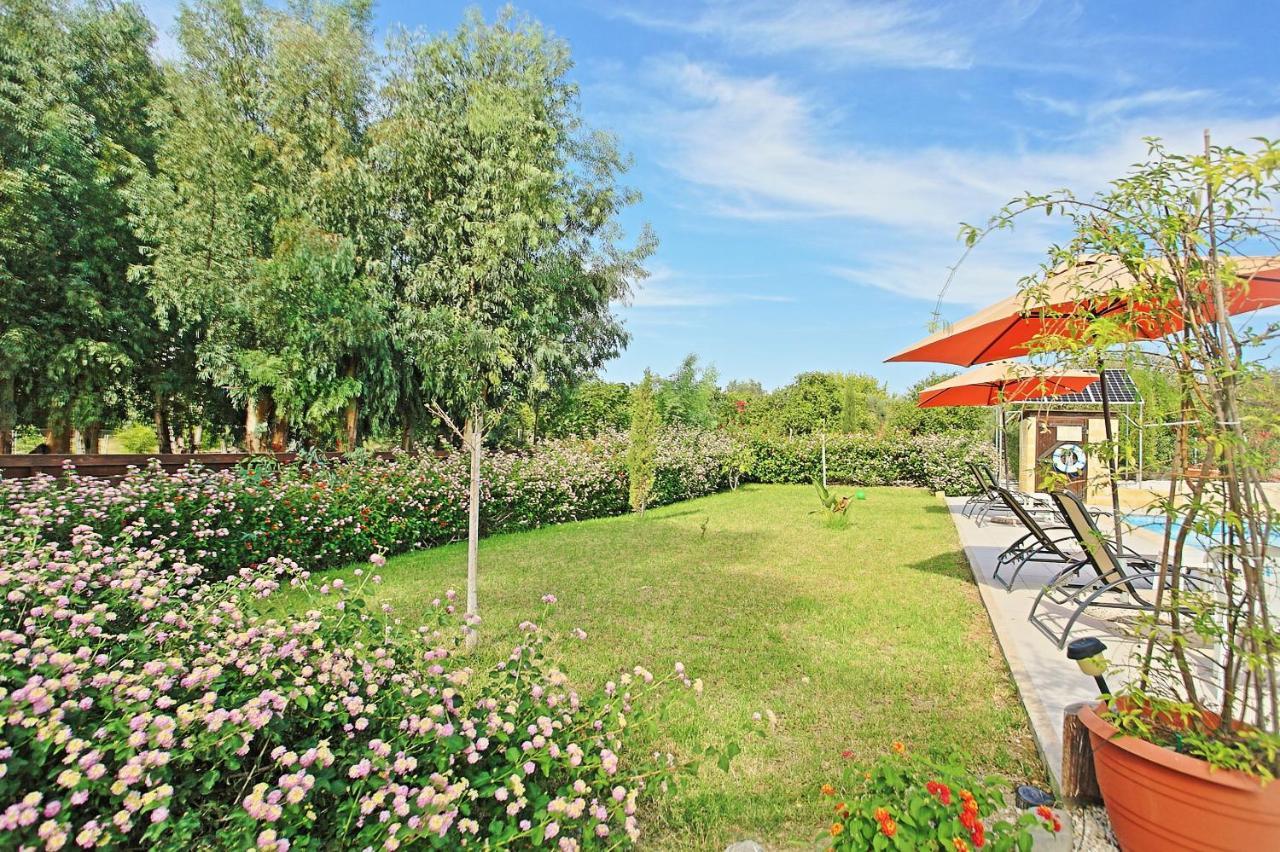 Villa Georgios Rafaela Polis Luaran gambar